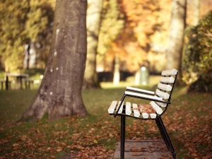 park-bench-autumn-1600x1200